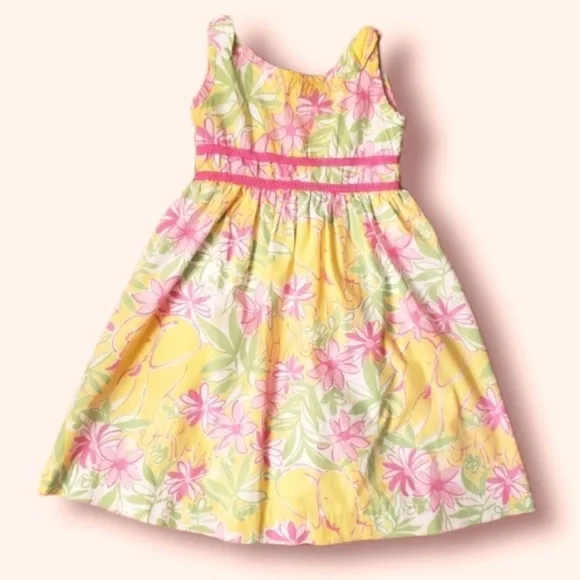 Lilly Pulitzer Garden Vista Sundress - Picture 10 of 10